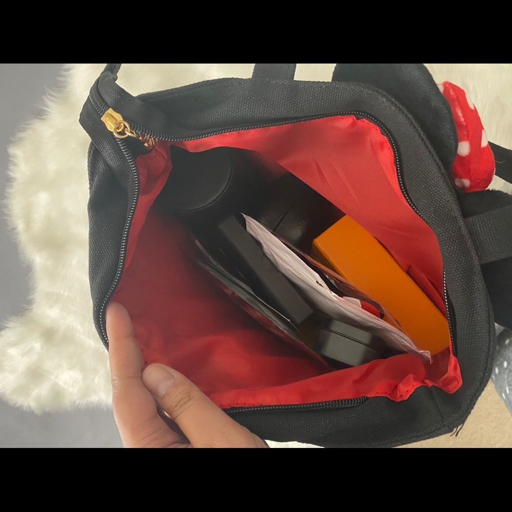 Disney Minnie Mouse Bag DisneyWorld DisneyLand Plushie - Picture 8 of 11